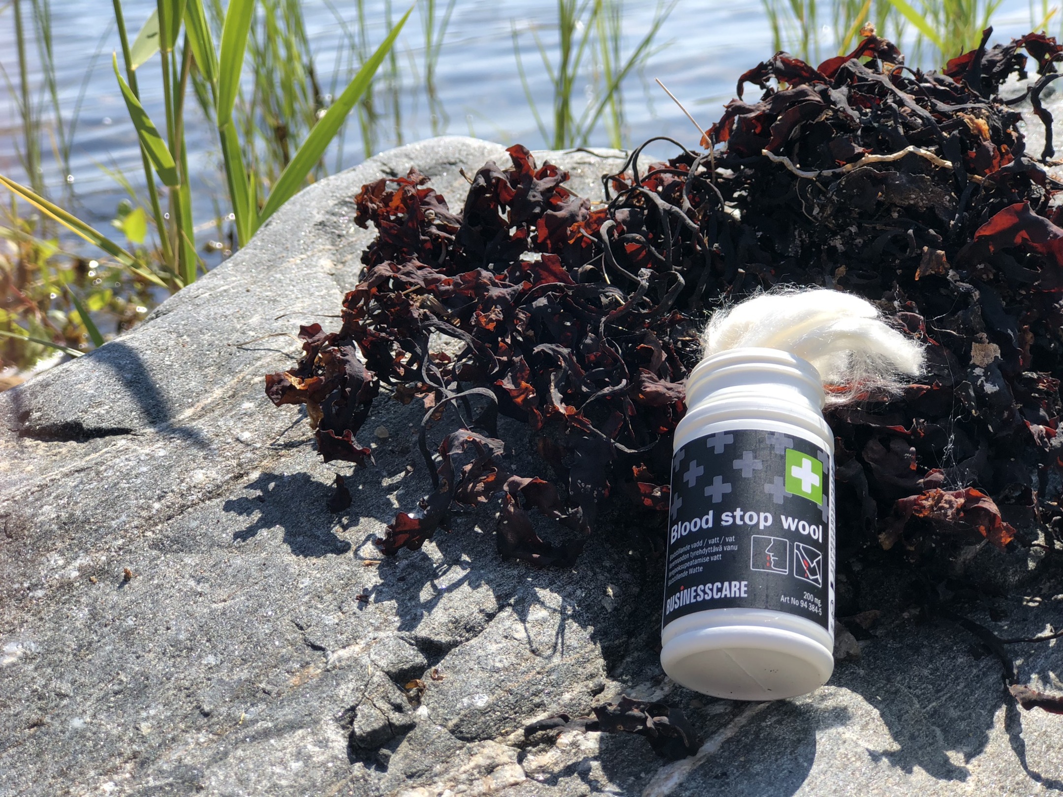 Naše environmentální práce v praxi